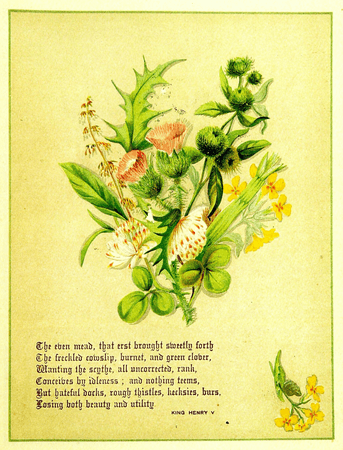 The Flowers of Shakspeare
